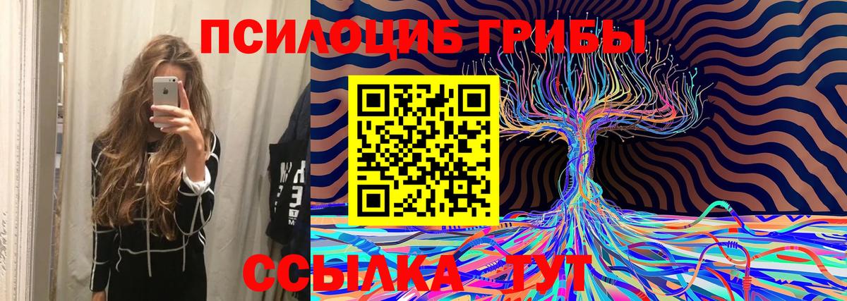 Рославль  Псилоцибиновые грибы мицелий  Вход с VPN 